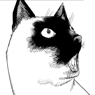 Chapter 102 (Save the Cat) cover