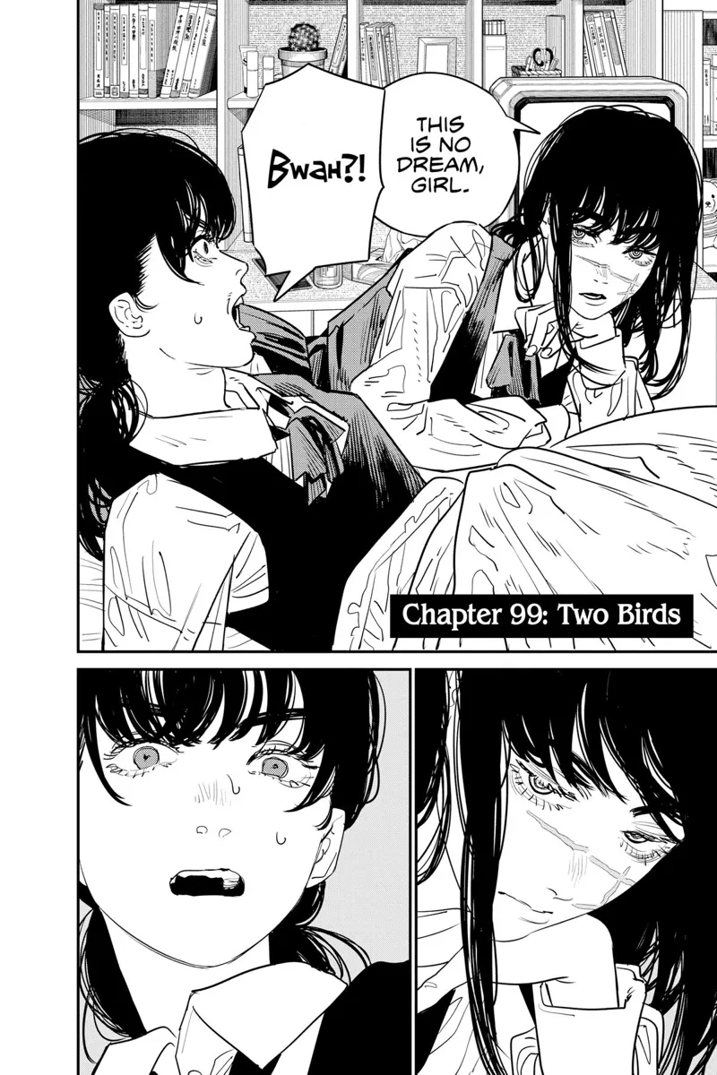 Chapter 99 (Two Birds) image 2